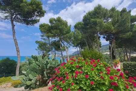 Cavallino Sea House Cefalù Eksteriør billede